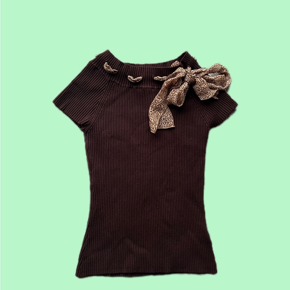 Brown Stretchy Top